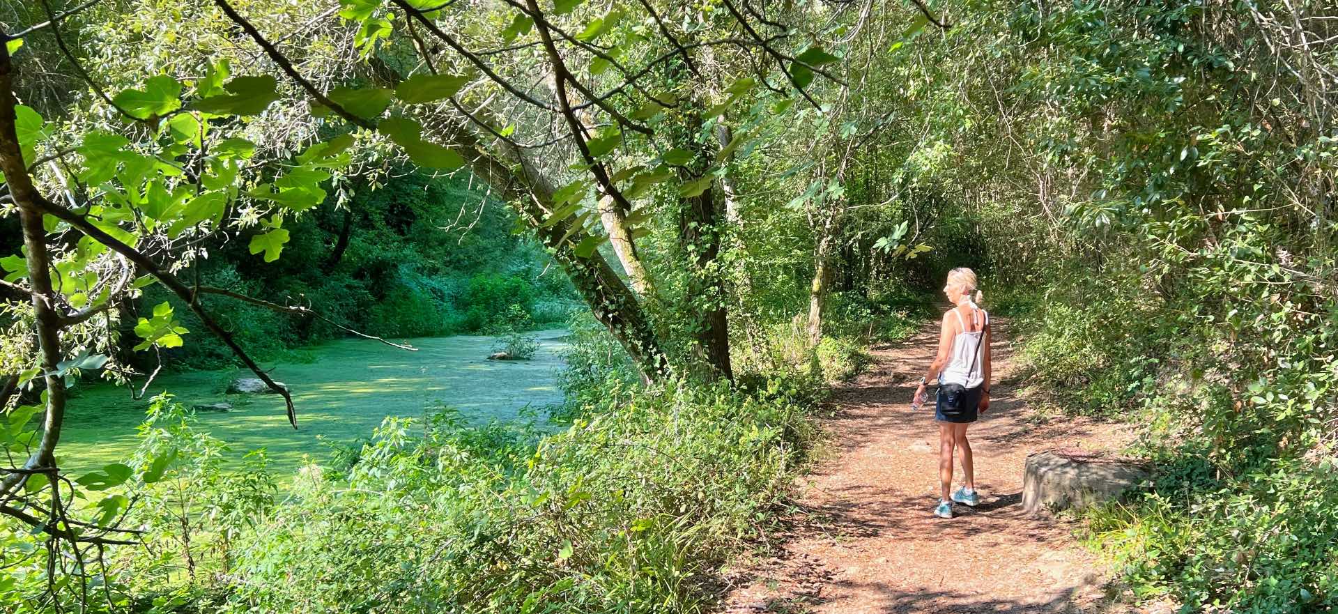 Vandretur La Brague Biot/Valbonne