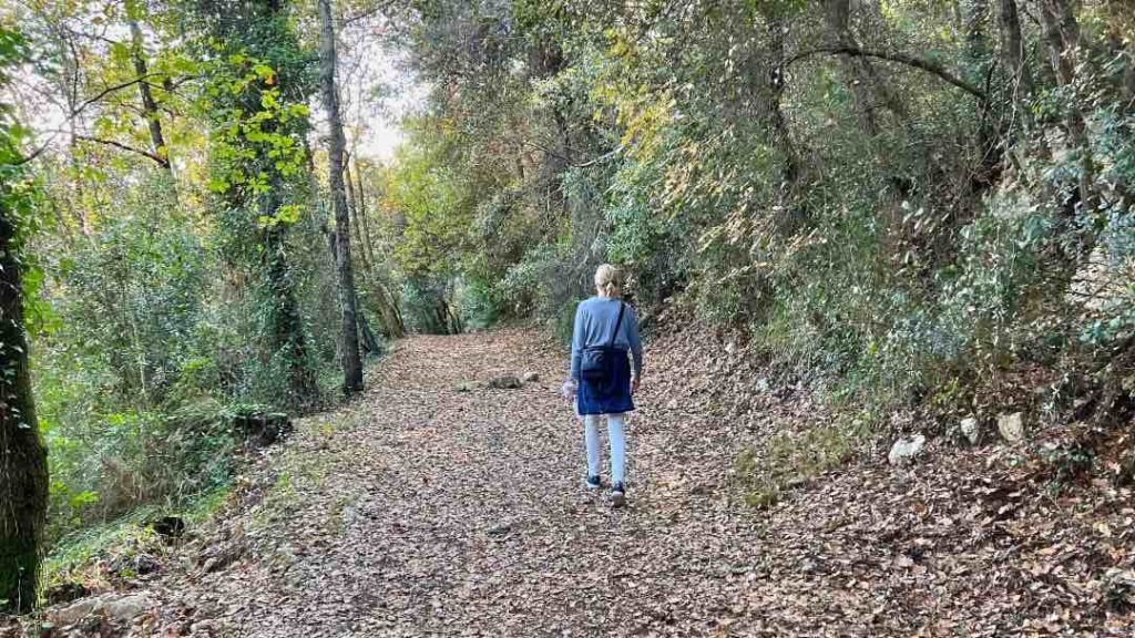 Den hyggelige skovsti fra Vence til Saint-Paul de Vence - ©cityxee.com